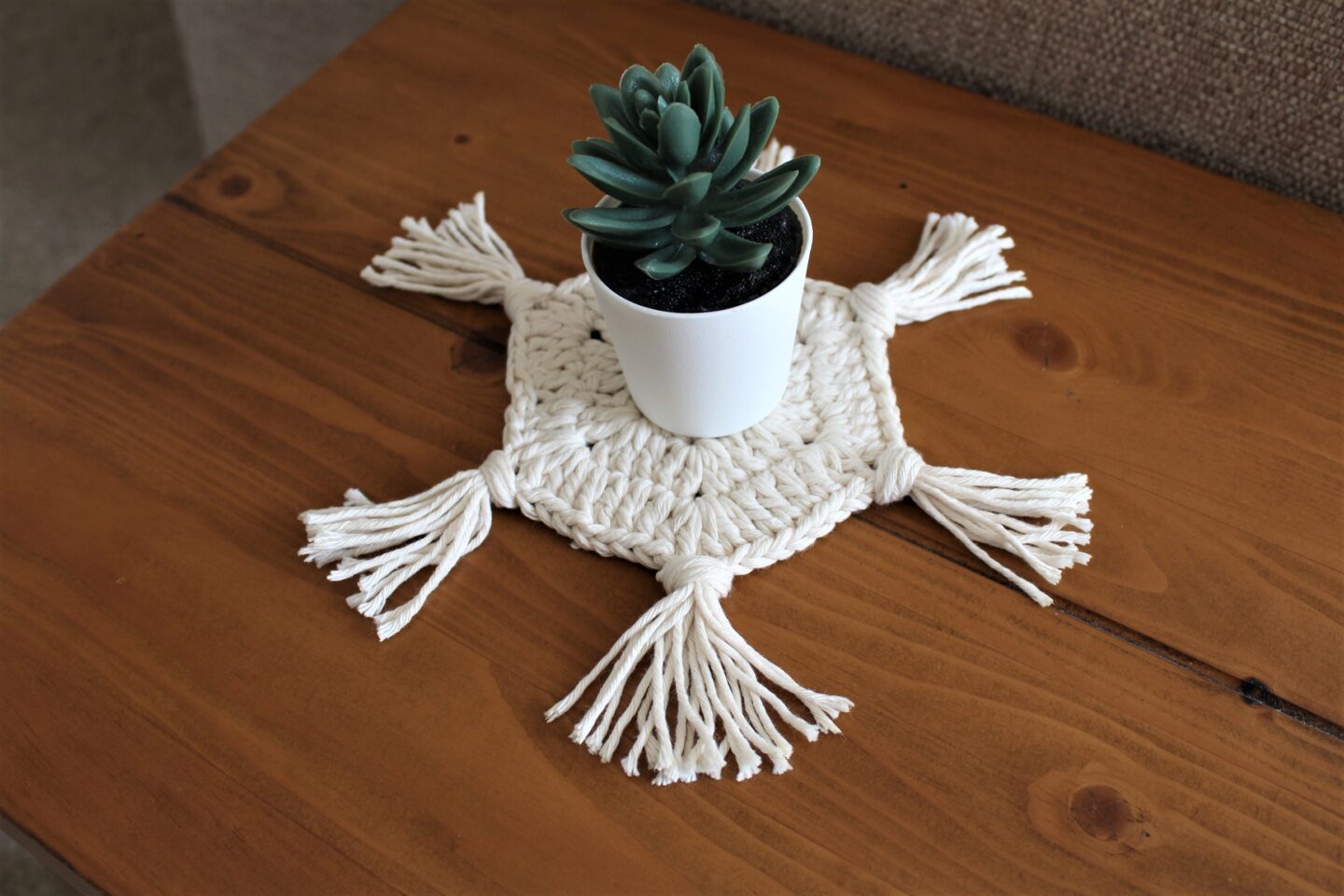 crochet hexagon coaster with a small plant on it.