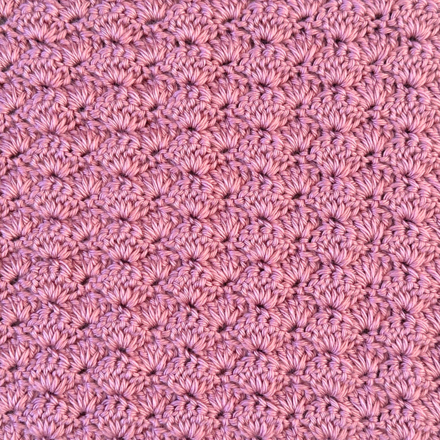 The Shell Stitch